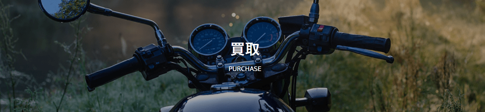 オートボーイRC