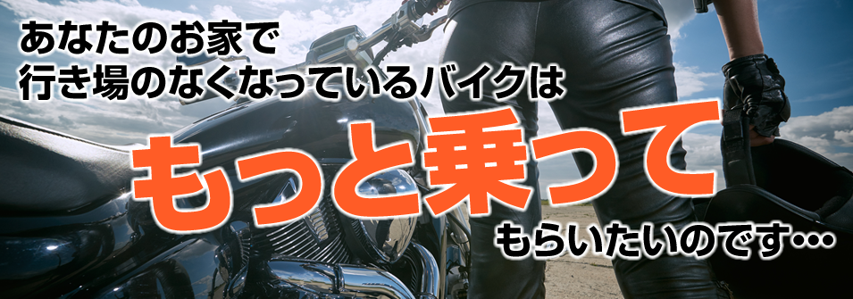 ミヤコオート